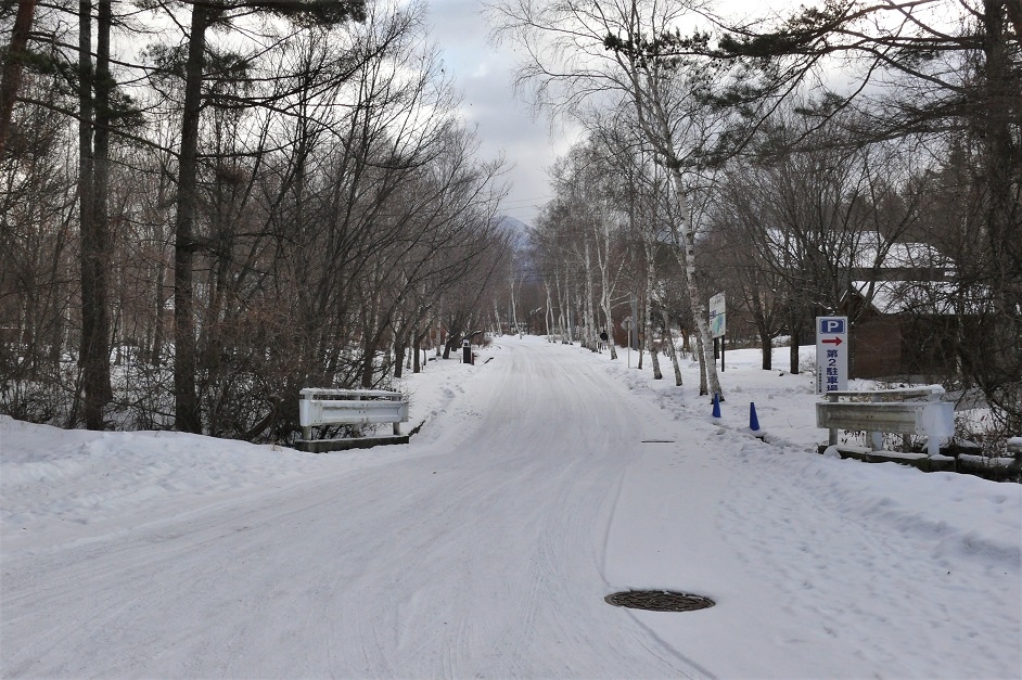 http://www.alpico.co.jp/shikinomori/news/images/P1180285.JPG