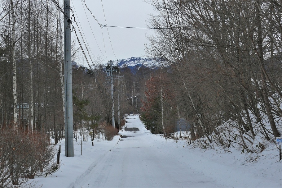 http://www.alpico.co.jp/shikinomori/news/images/P1180399.JPG