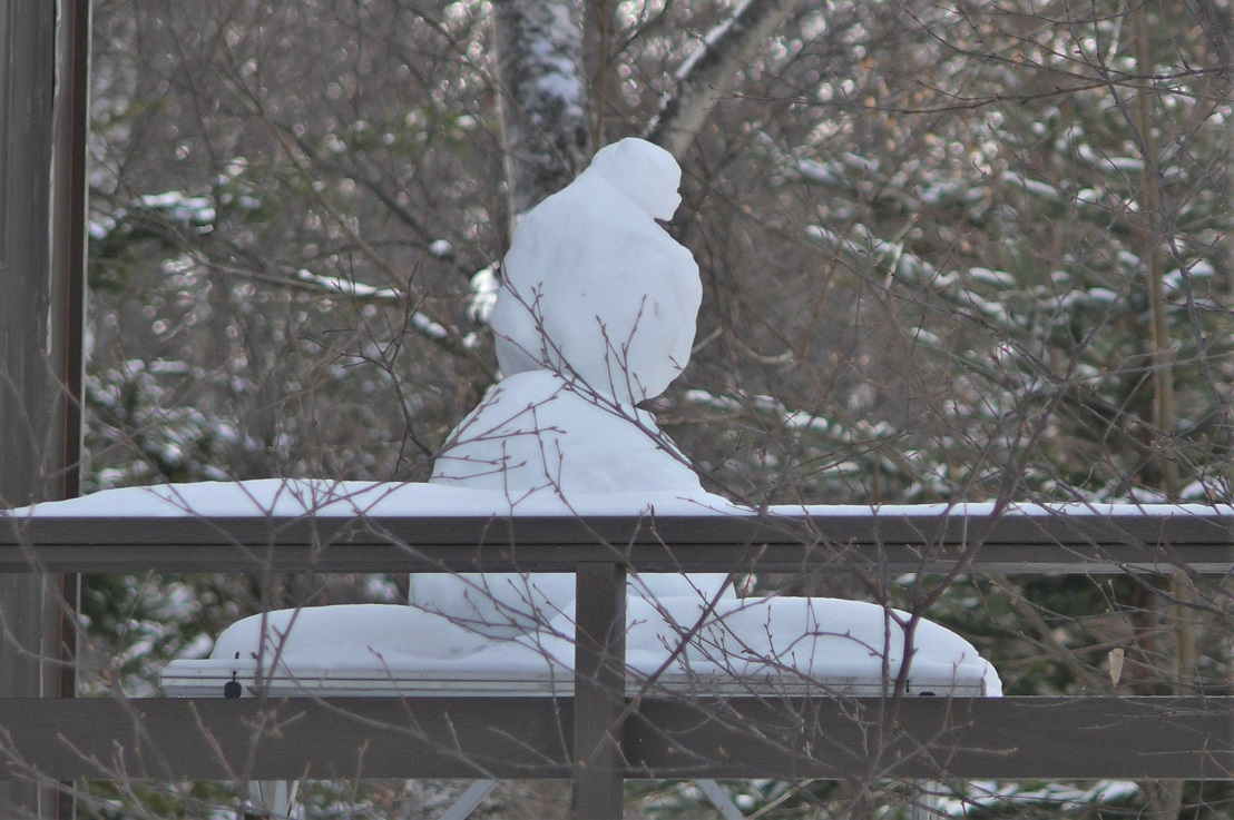 http://www.alpico.co.jp/shikinomori/news/images/P1180476.JPG