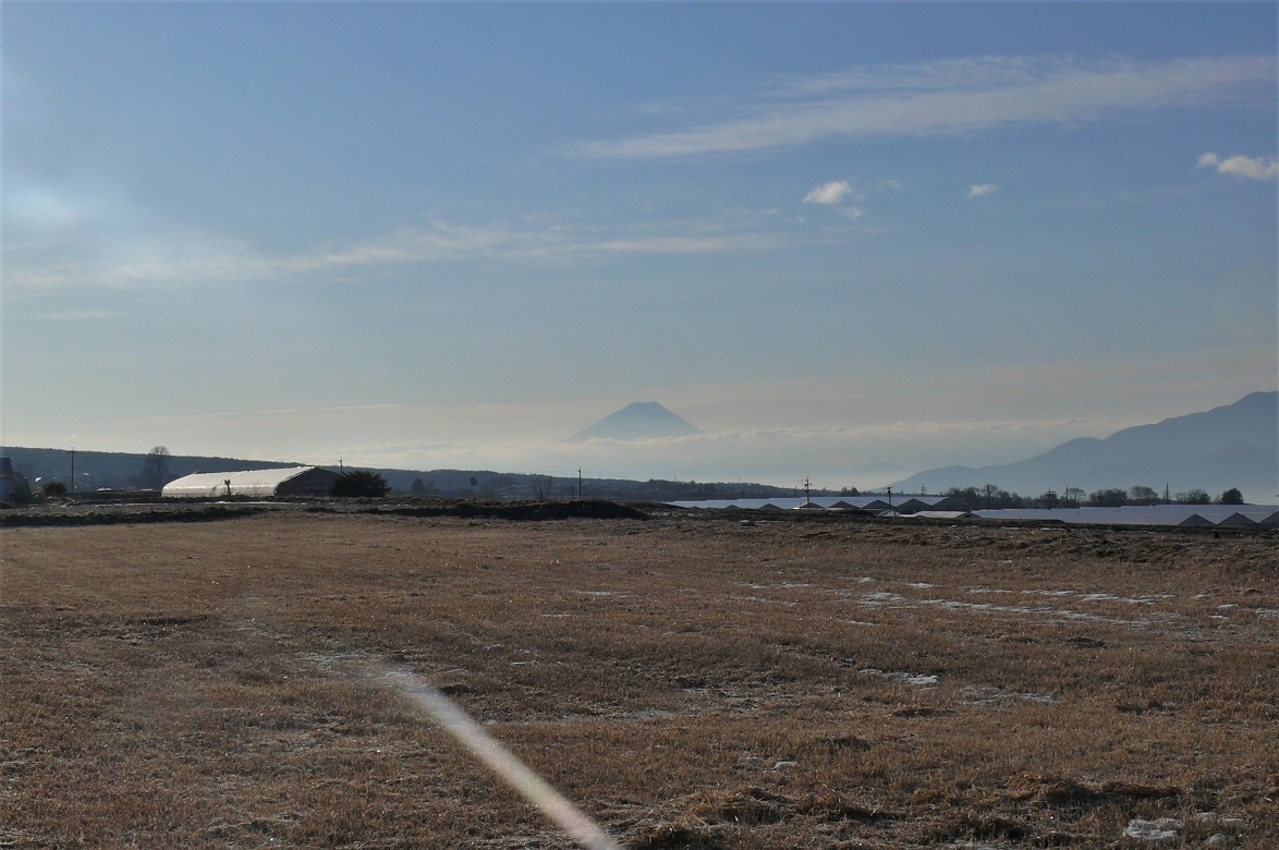 http://www.alpico.co.jp/shikinomori/news/images/P1180516.JPG
