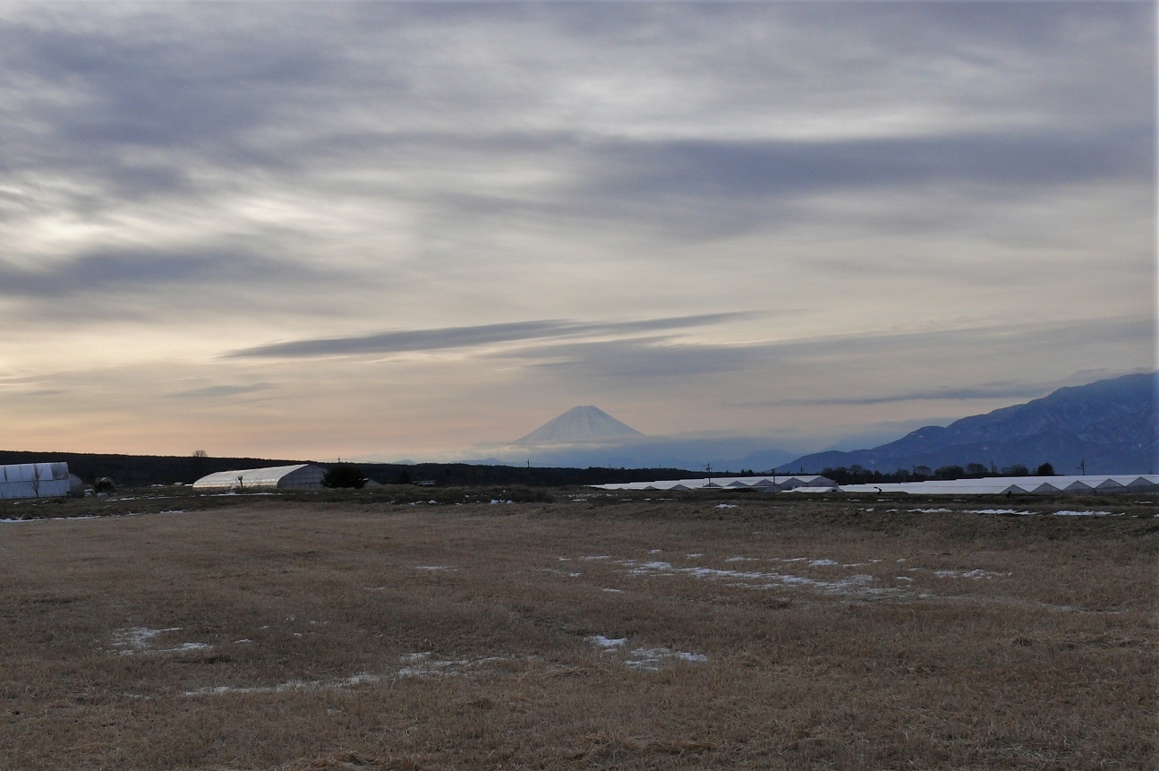 http://www.alpico.co.jp/shikinomori/news/images/P1180539.JPG