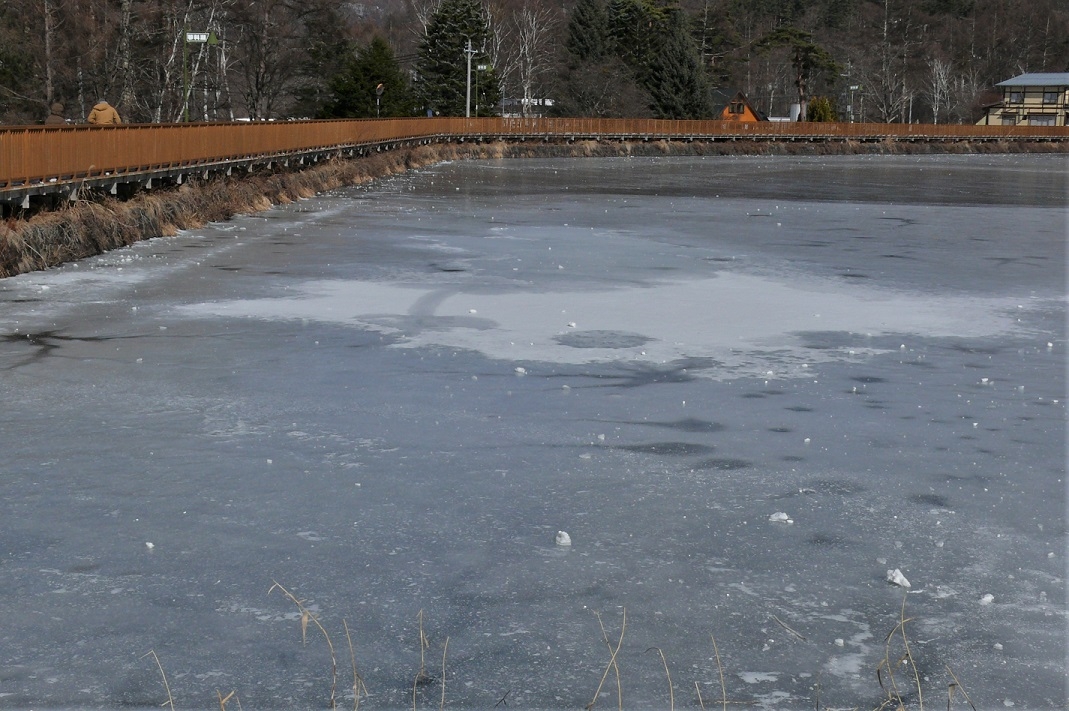 http://www.alpico.co.jp/shikinomori/news/images/P1180605.JPG