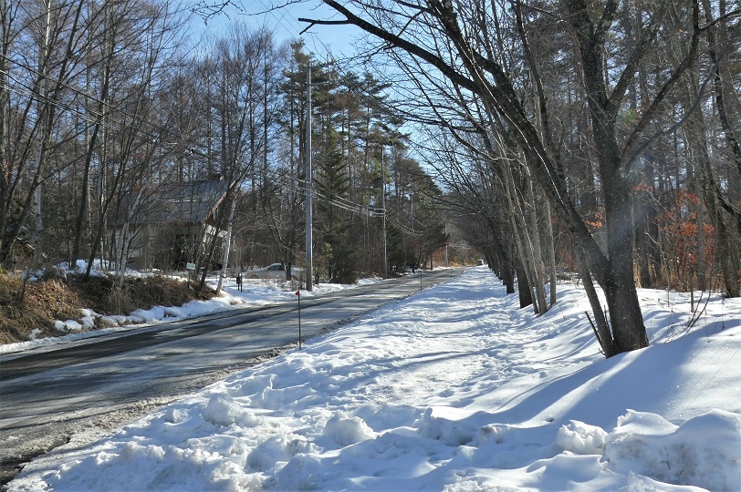 http://www.alpico.co.jp/shikinomori/news/images/P1180893.JPG