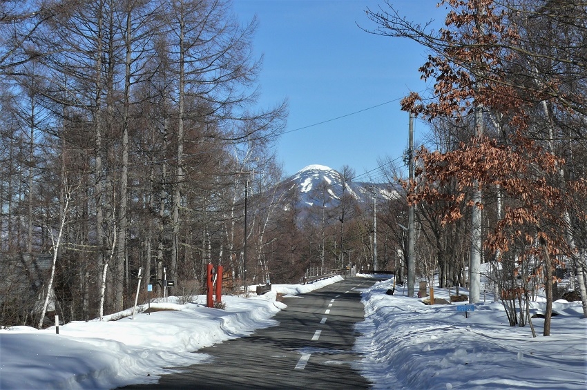 http://www.alpico.co.jp/shikinomori/news/images/P1180910.JPG