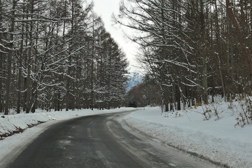 http://www.alpico.co.jp/shikinomori/news/images/P1180960.JPG