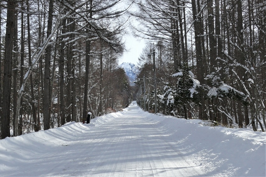 http://www.alpico.co.jp/shikinomori/news/images/P1180969.JPG