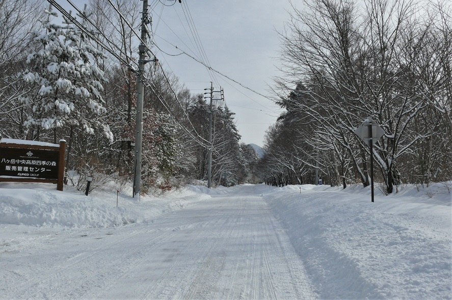 http://www.alpico.co.jp/shikinomori/news/images/P1190017.JPG