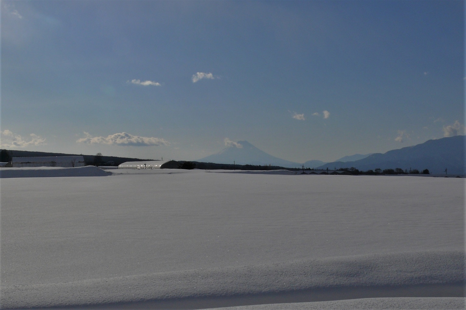 http://www.alpico.co.jp/shikinomori/news/images/P1190092.JPG