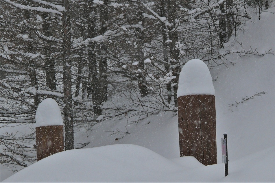 http://www.alpico.co.jp/shikinomori/news/images/P1190111.JPG