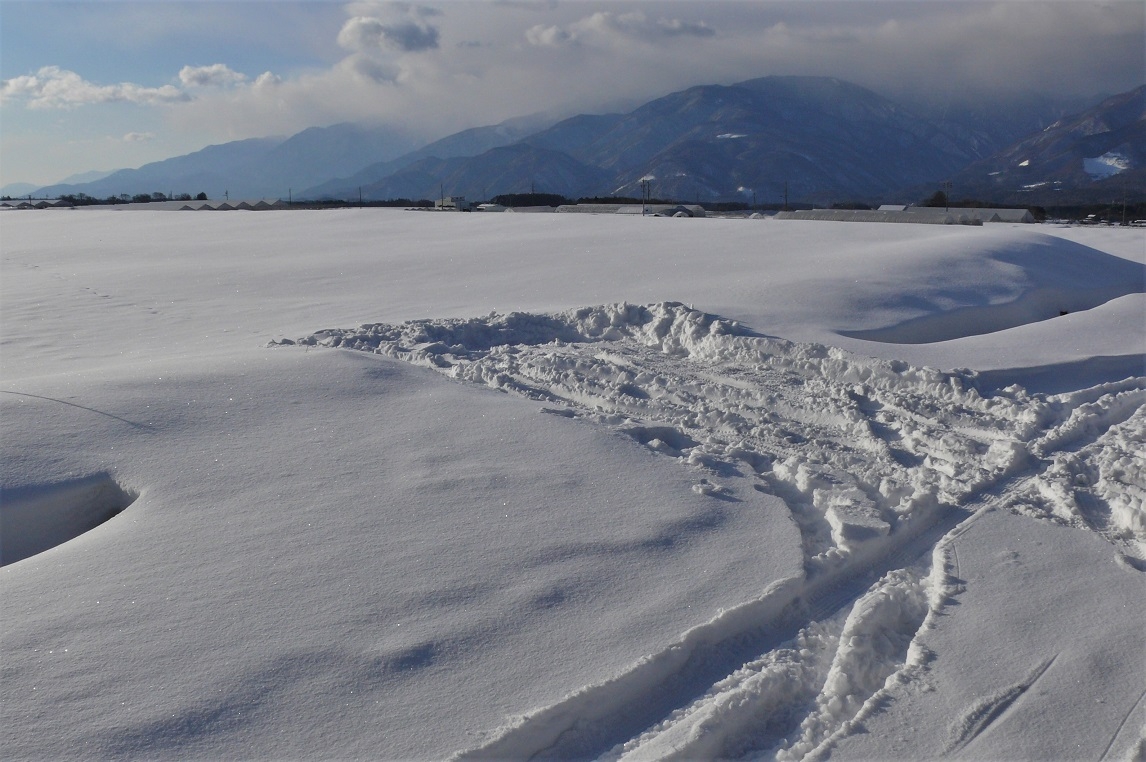http://www.alpico.co.jp/shikinomori/news/images/P1190122.JPG