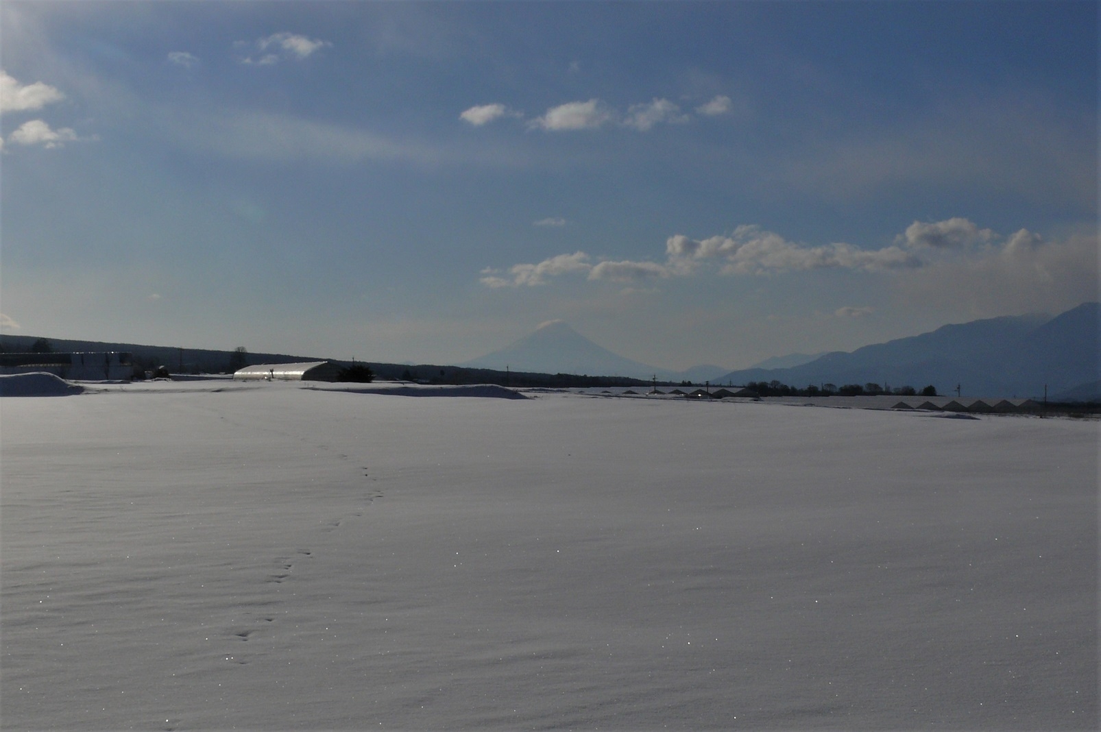 http://www.alpico.co.jp/shikinomori/news/images/P1190123.JPG