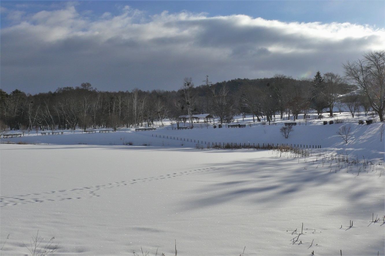 http://www.alpico.co.jp/shikinomori/news/images/P1190126.JPG