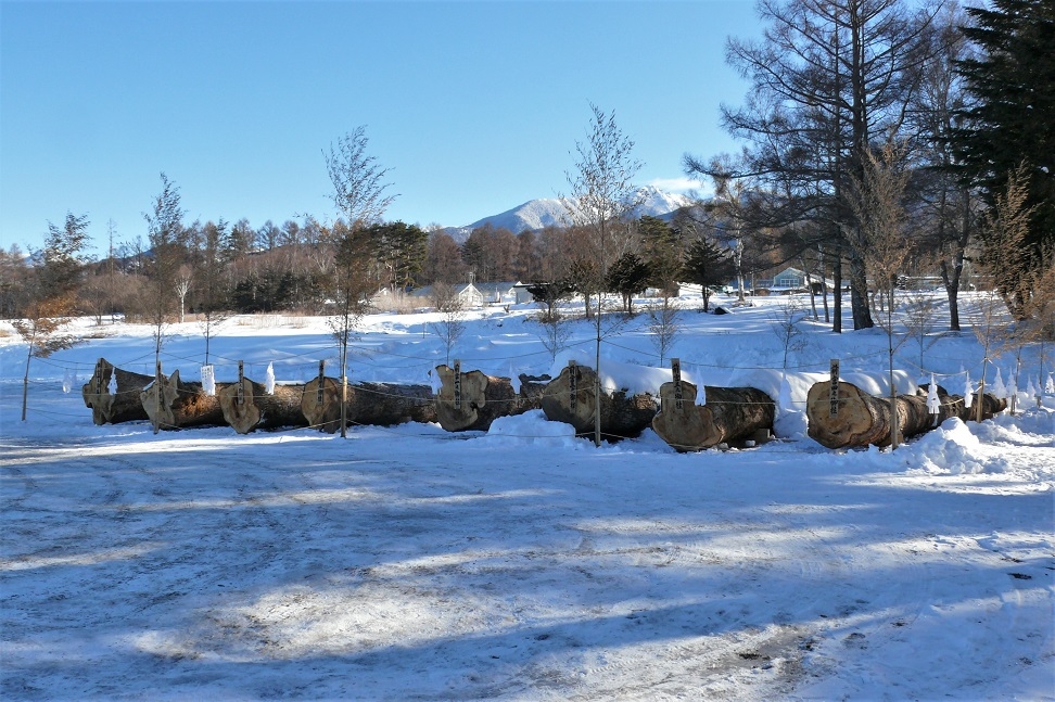 http://www.alpico.co.jp/shikinomori/news/images/P1190246.JPG