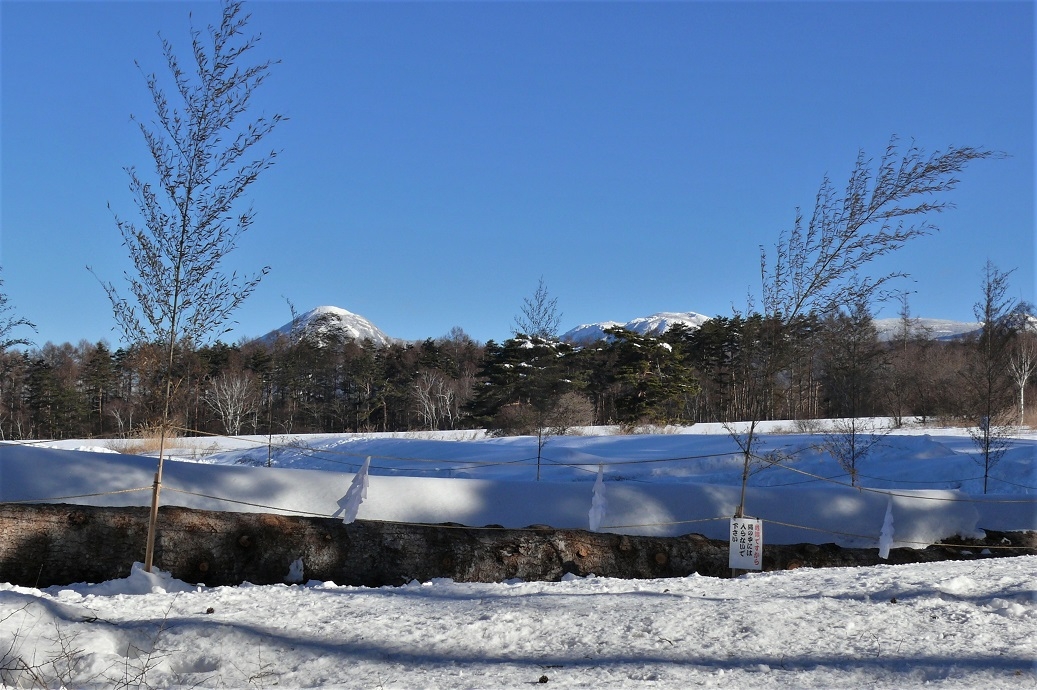 http://www.alpico.co.jp/shikinomori/news/images/P1190247.JPG