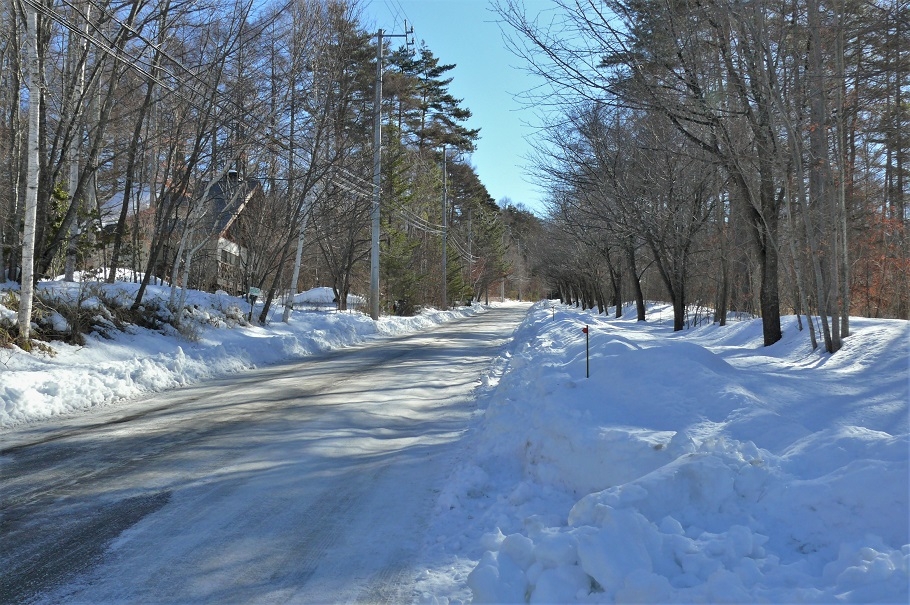 http://www.alpico.co.jp/shikinomori/news/images/P1190273.JPG