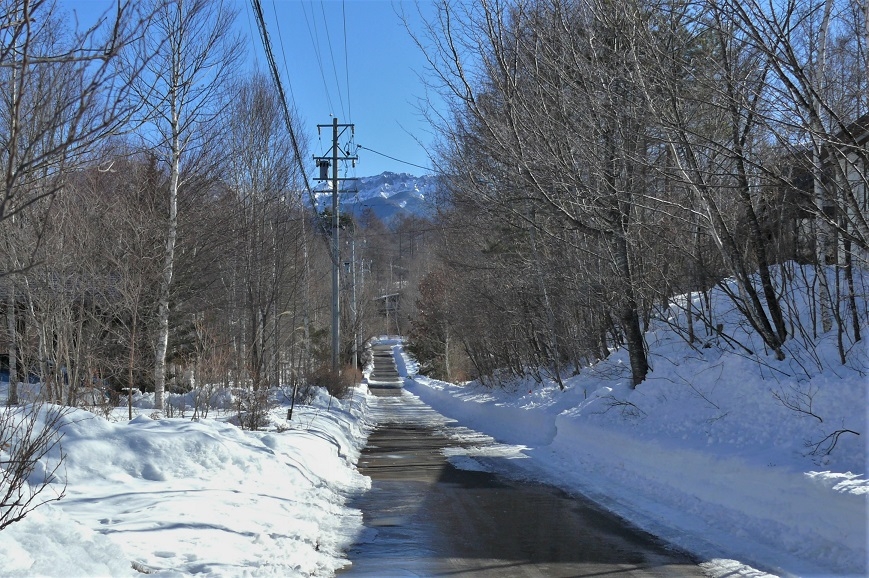 http://www.alpico.co.jp/shikinomori/news/images/P1190274.JPG
