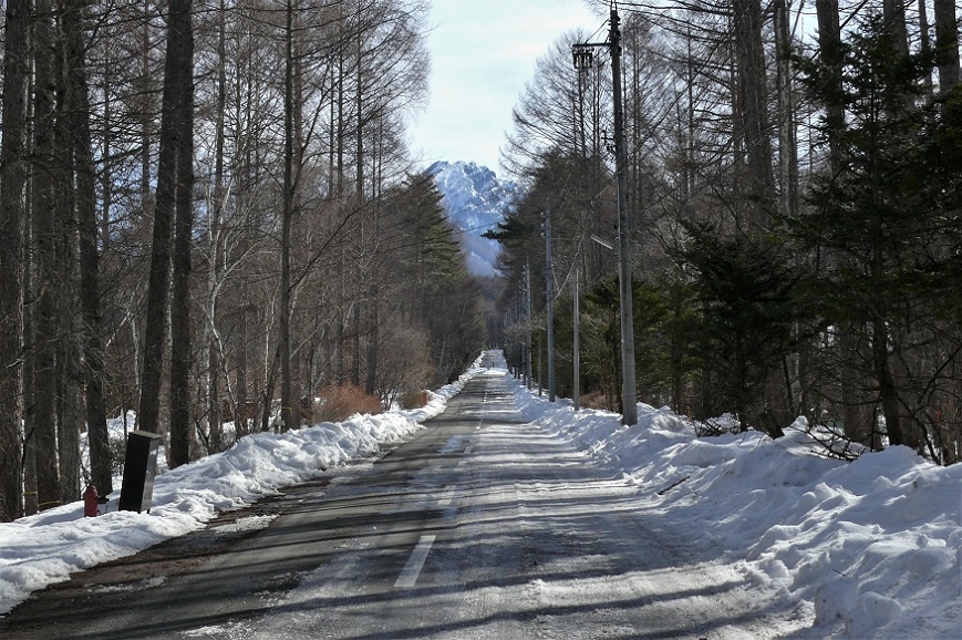 http://www.alpico.co.jp/shikinomori/news/images/P1190527.JPG