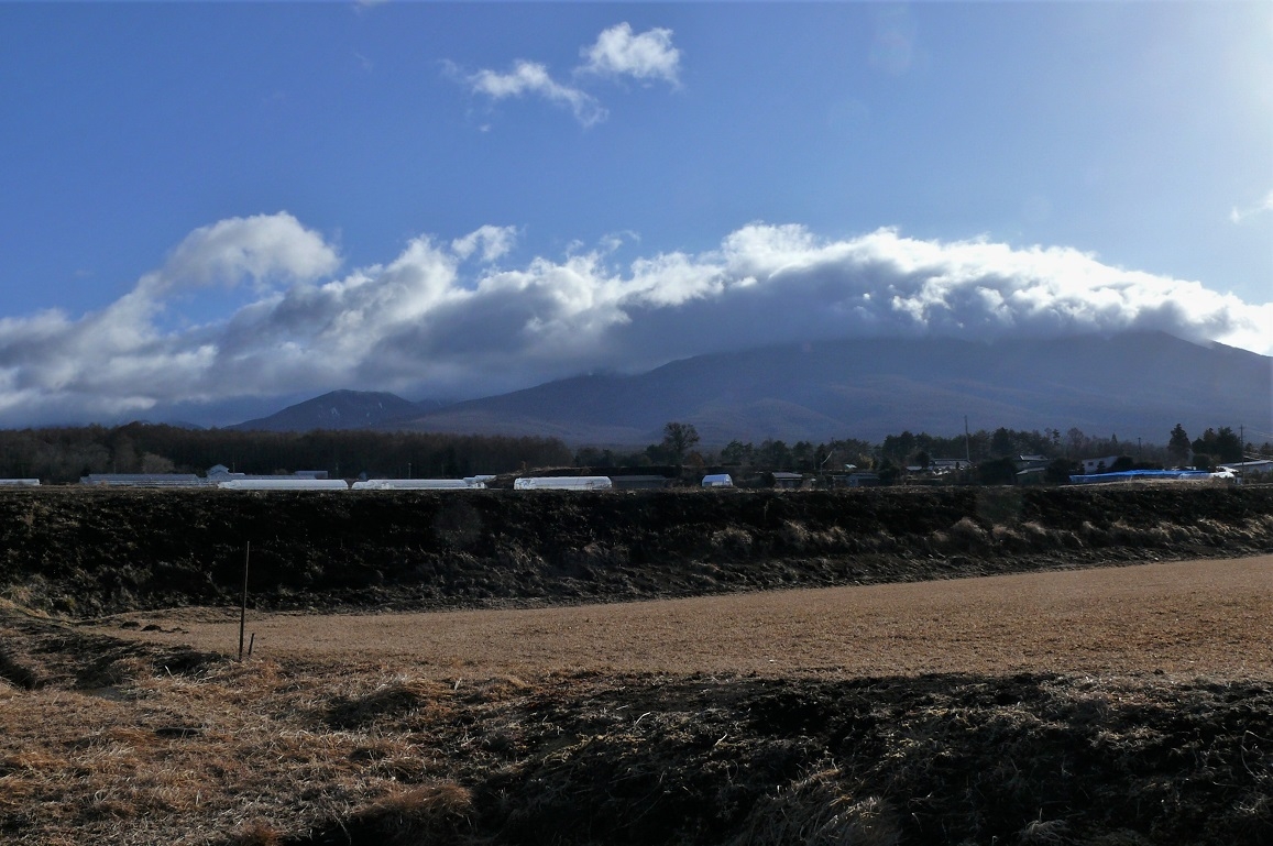 http://www.alpico.co.jp/shikinomori/news/images/P1190558.JPG