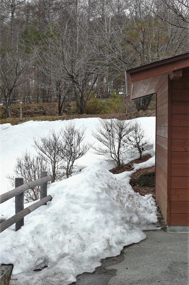 http://www.alpico.co.jp/shikinomori/news/images/P1190641.JPG