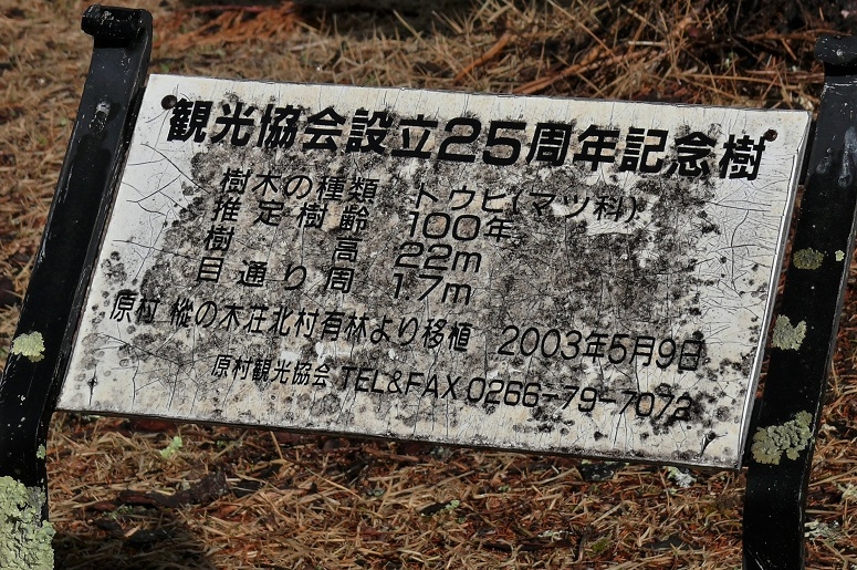 http://www.alpico.co.jp/shikinomori/news/images/P1190705.JPG
