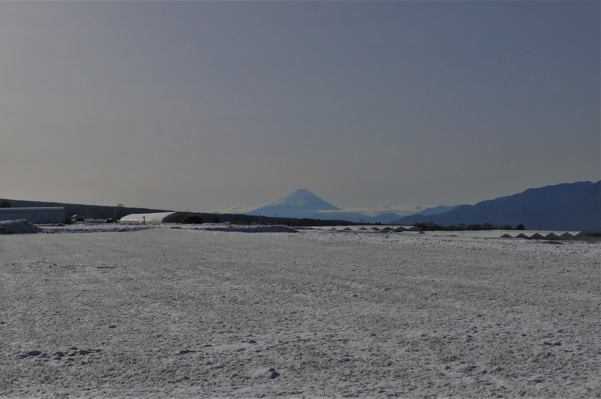 http://www.alpico.co.jp/shikinomori/news/images/P1190729.JPG