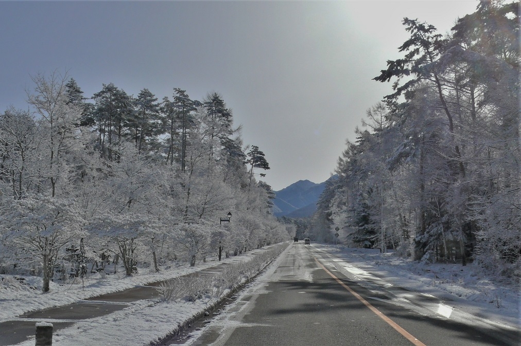 http://www.alpico.co.jp/shikinomori/news/images/P1190757.JPG