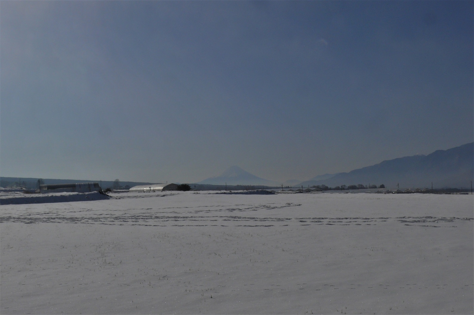 http://www.alpico.co.jp/shikinomori/news/images/P1190827.JPG