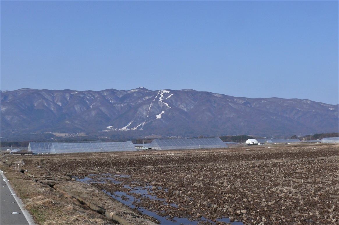 http://www.alpico.co.jp/shikinomori/news/images/P1190876.JPG