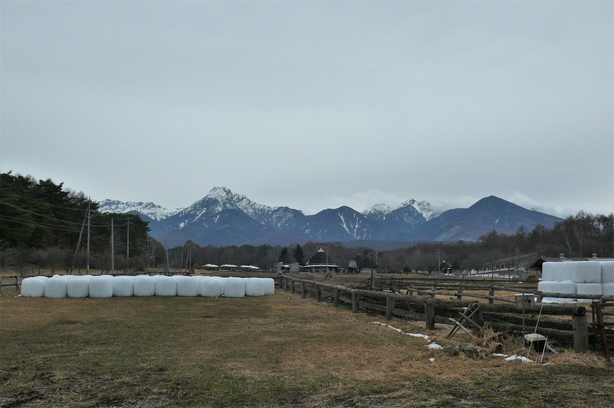 http://www.alpico.co.jp/shikinomori/news/images/P1190916.JPG