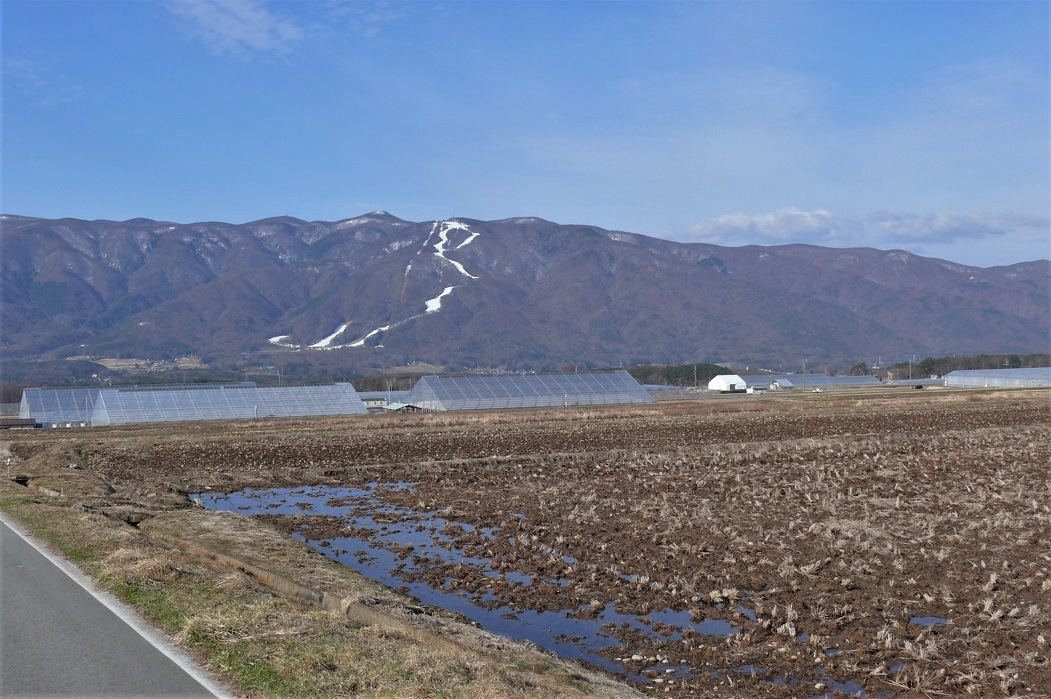 http://www.alpico.co.jp/shikinomori/news/images/P1190944.JPG