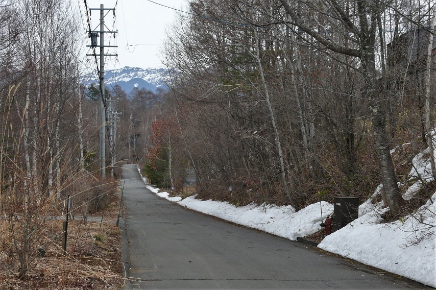 http://www.alpico.co.jp/shikinomori/news/images/P1190986.JPG
