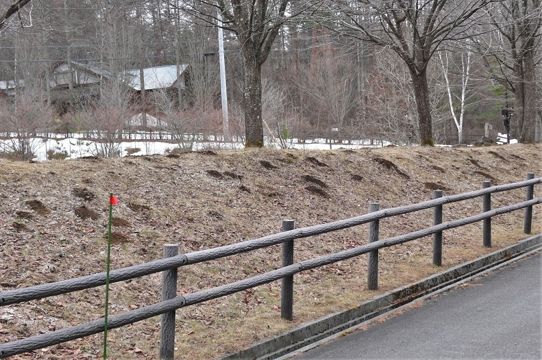 http://www.alpico.co.jp/shikinomori/news/images/P1190997.JPG