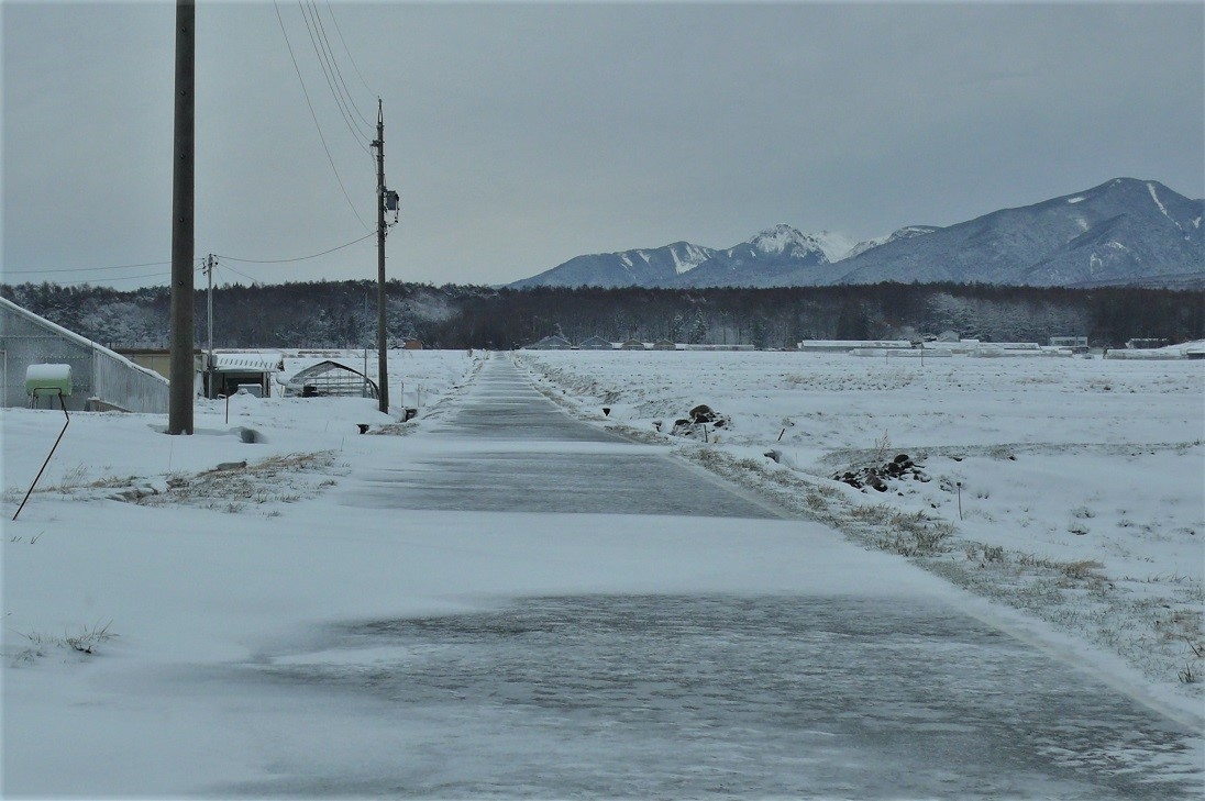 http://www.alpico.co.jp/shikinomori/news/images/P1200040.JPG