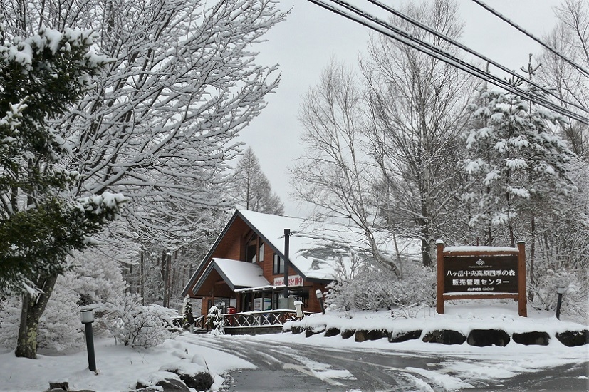 http://www.alpico.co.jp/shikinomori/news/images/P1200059.JPG