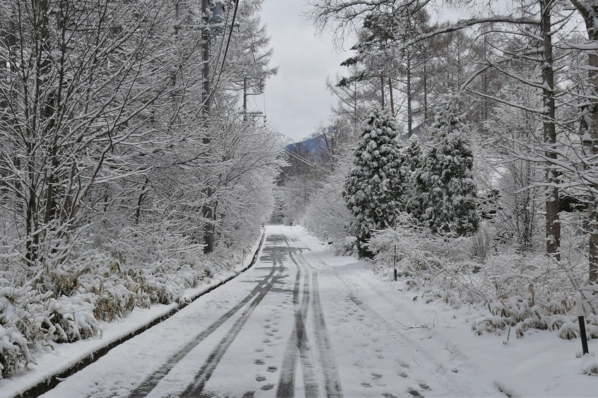 http://www.alpico.co.jp/shikinomori/news/images/P1200066.JPG