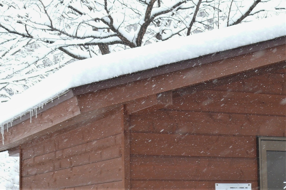 http://www.alpico.co.jp/shikinomori/news/images/P1200092.JPG