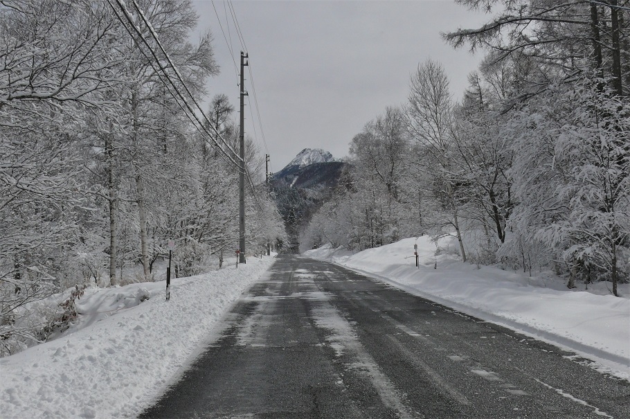 http://www.alpico.co.jp/shikinomori/news/images/P1200094.JPG