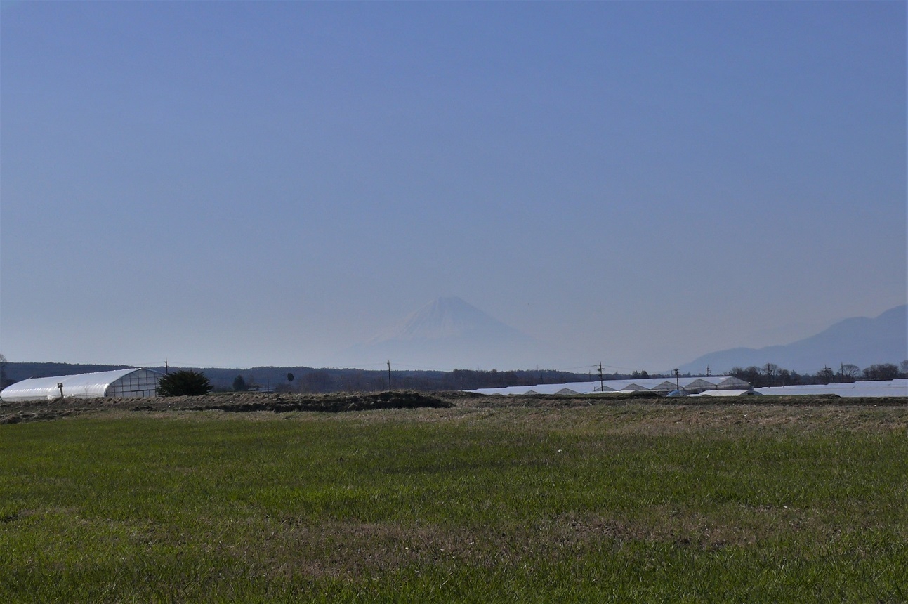 http://www.alpico.co.jp/shikinomori/news/images/P1200259.JPG