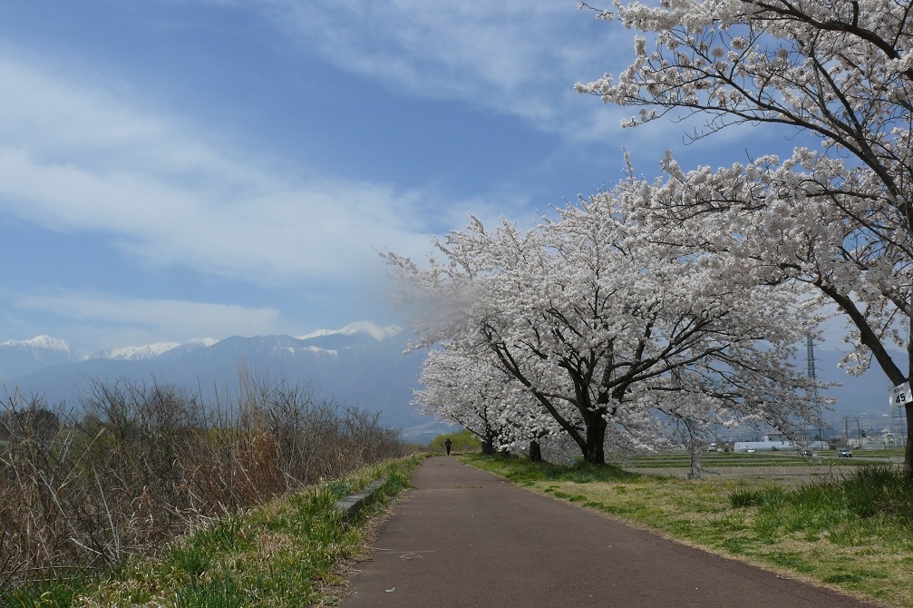 http://www.alpico.co.jp/shikinomori/news/images/P1200322.JPG