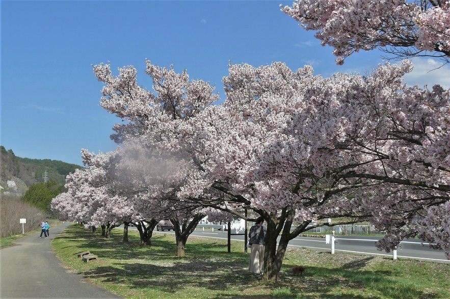 http://www.alpico.co.jp/shikinomori/news/images/P1200325.JPG