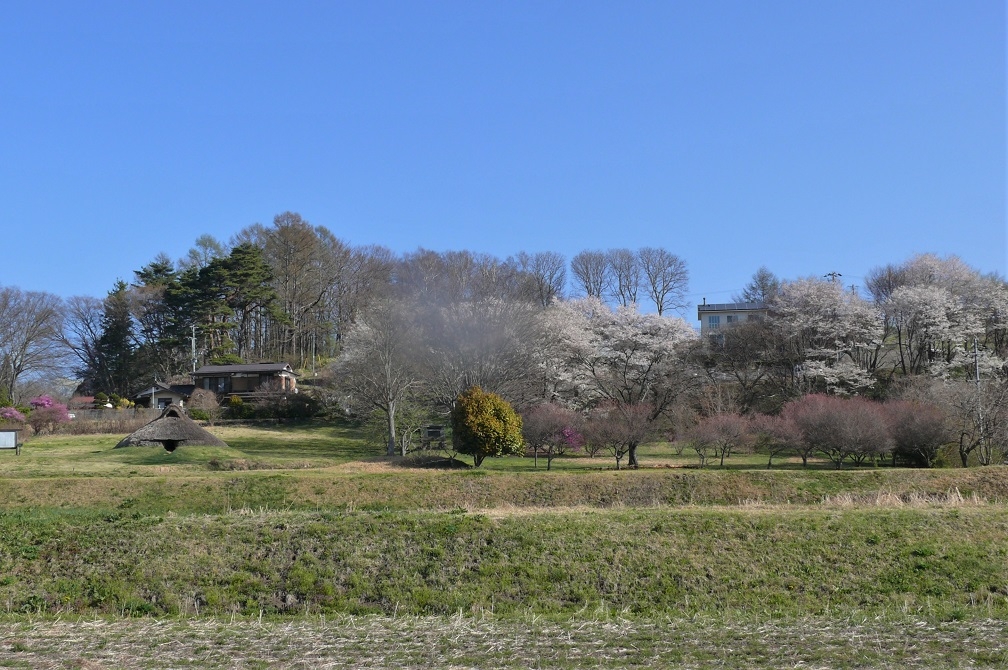 http://www.alpico.co.jp/shikinomori/news/images/P1200340.JPG