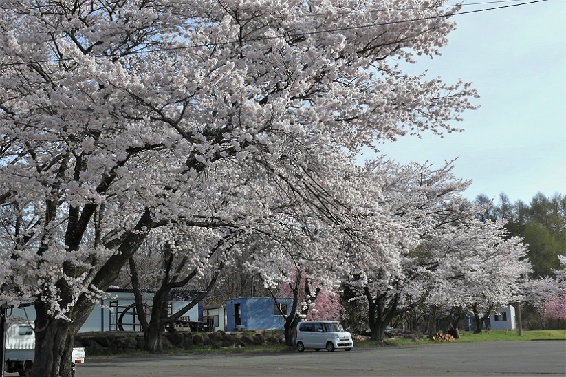 http://www.alpico.co.jp/shikinomori/news/images/P1200428.jpg