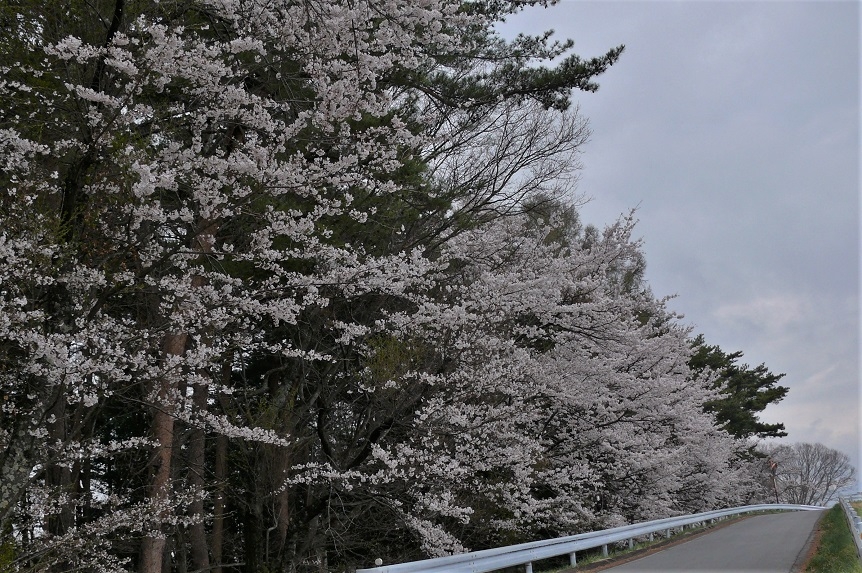 http://www.alpico.co.jp/shikinomori/news/images/P1200465.JPG