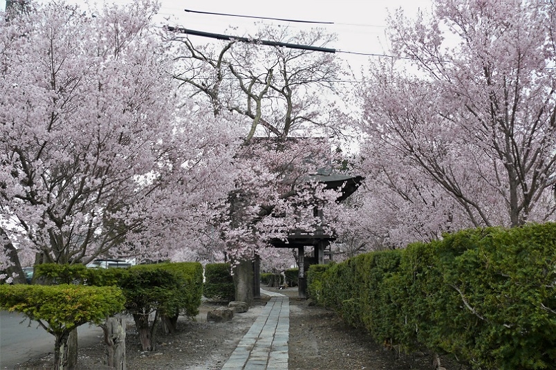 http://www.alpico.co.jp/shikinomori/news/images/P1200469.JPG