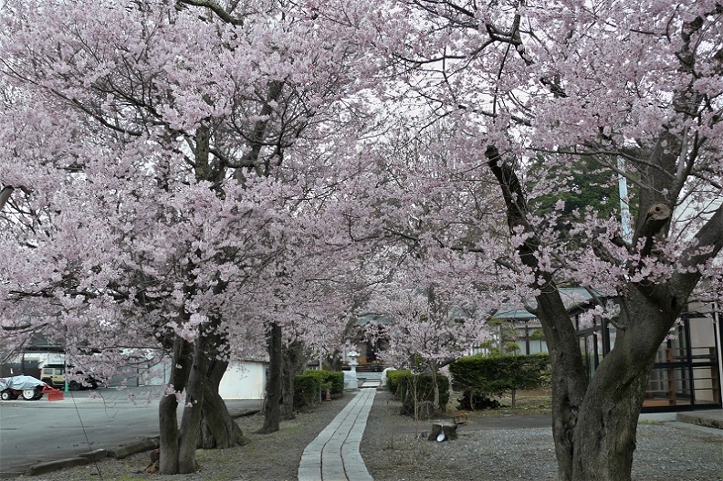 http://www.alpico.co.jp/shikinomori/news/images/P1200471.JPG