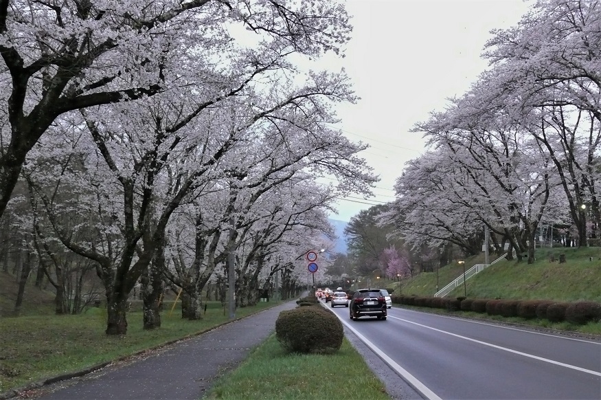 http://www.alpico.co.jp/shikinomori/news/images/P1200486.JPG