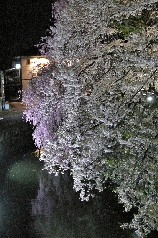 http://www.alpico.co.jp/shikinomori/news/images/P1200493.JPG