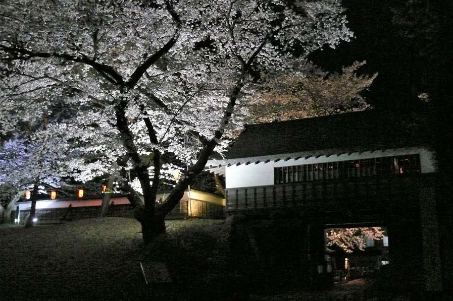 http://www.alpico.co.jp/shikinomori/news/images/P1200503.JPG