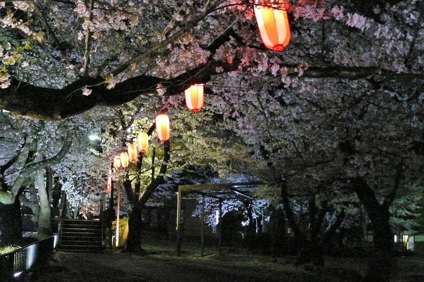 http://www.alpico.co.jp/shikinomori/news/images/P1200505.JPG