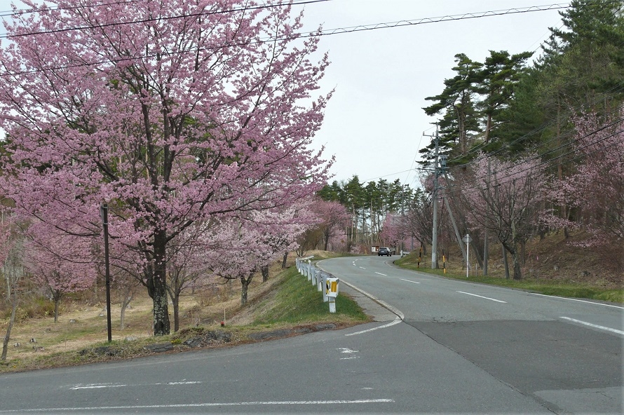 http://www.alpico.co.jp/shikinomori/news/images/P1200593.JPG